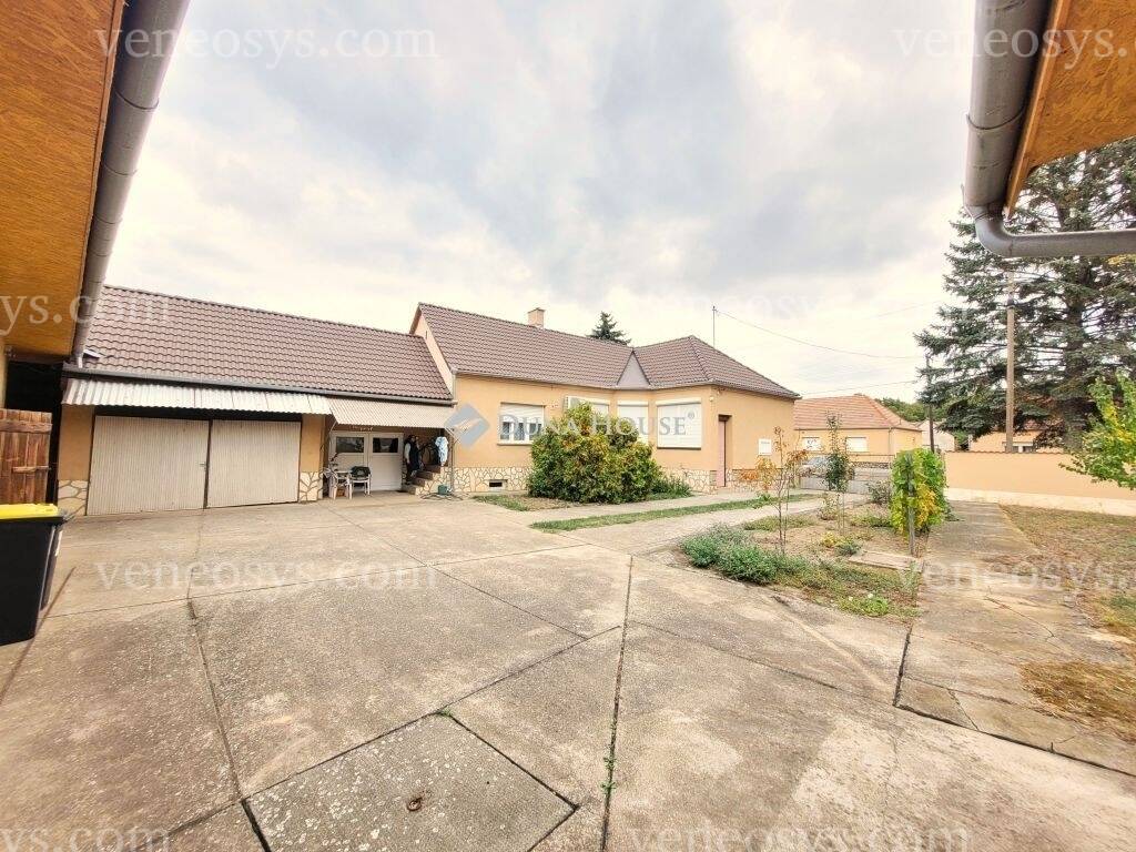 Kép 4