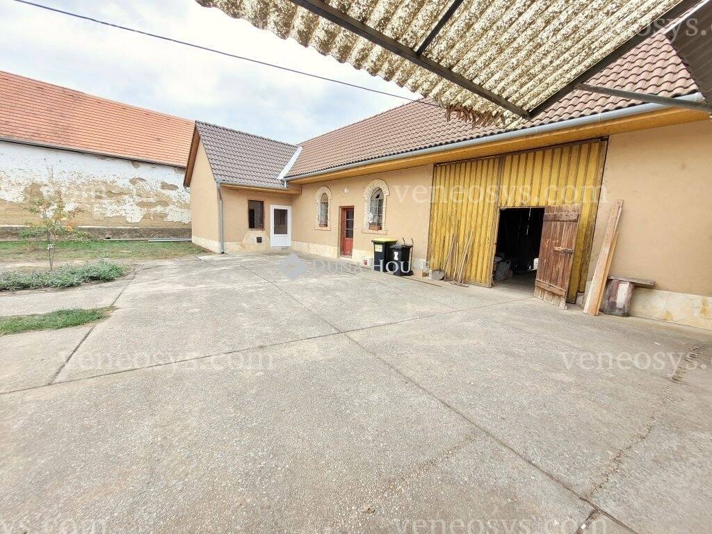 Kép 11
