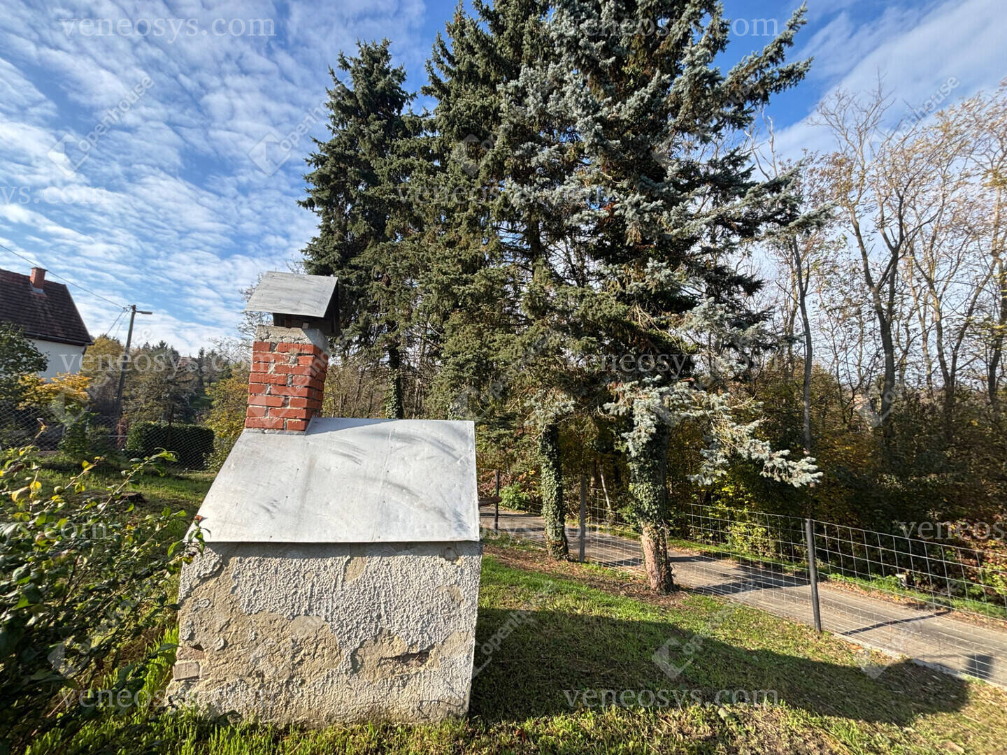 Kép 6