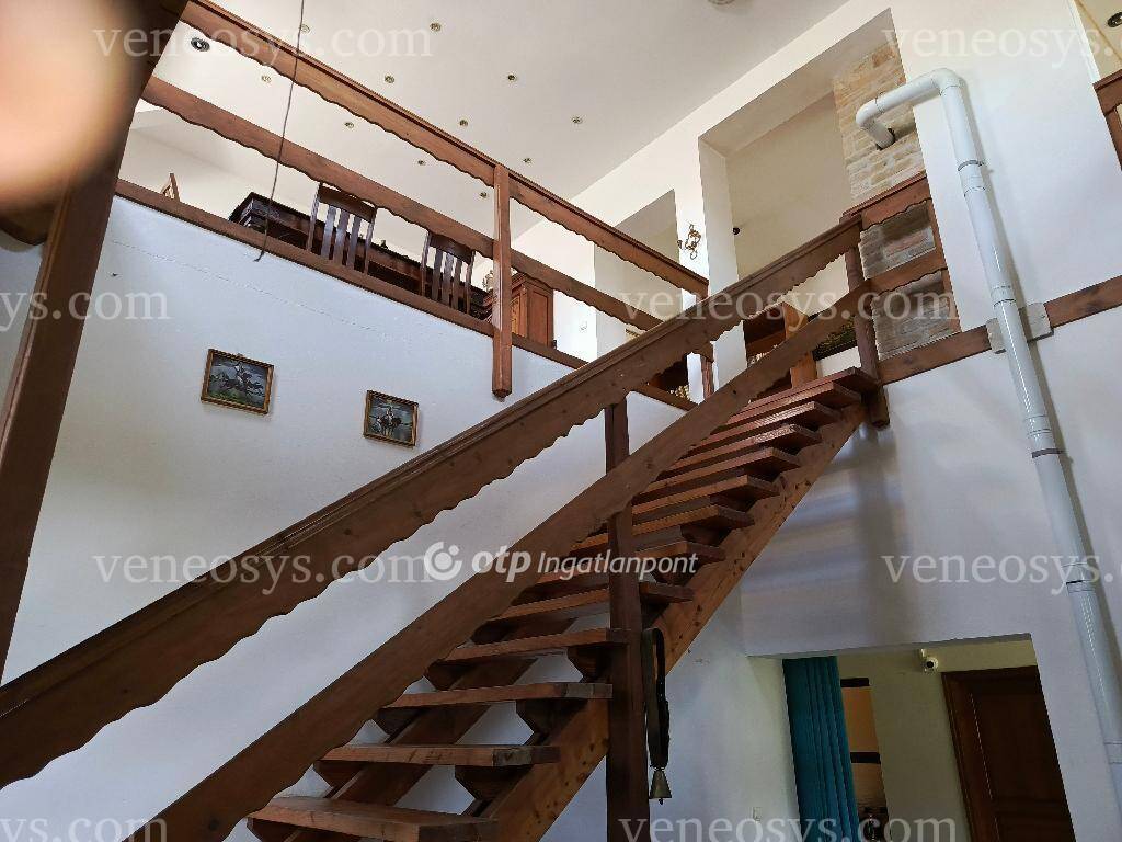 Kép 10