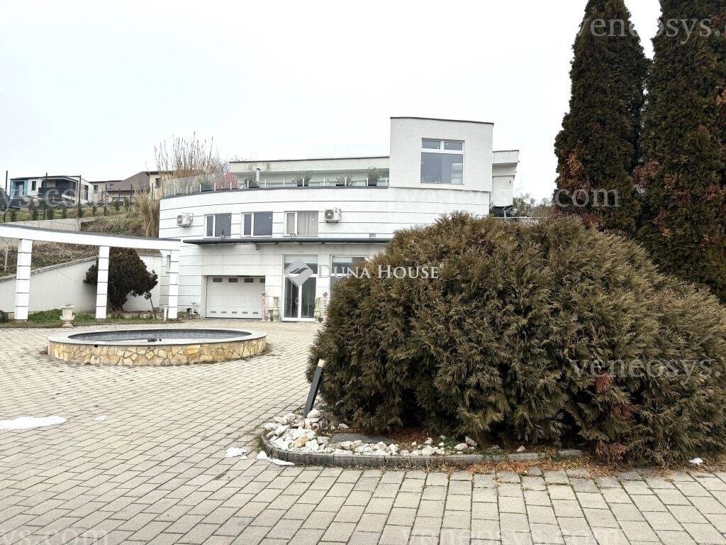 Kép 5
