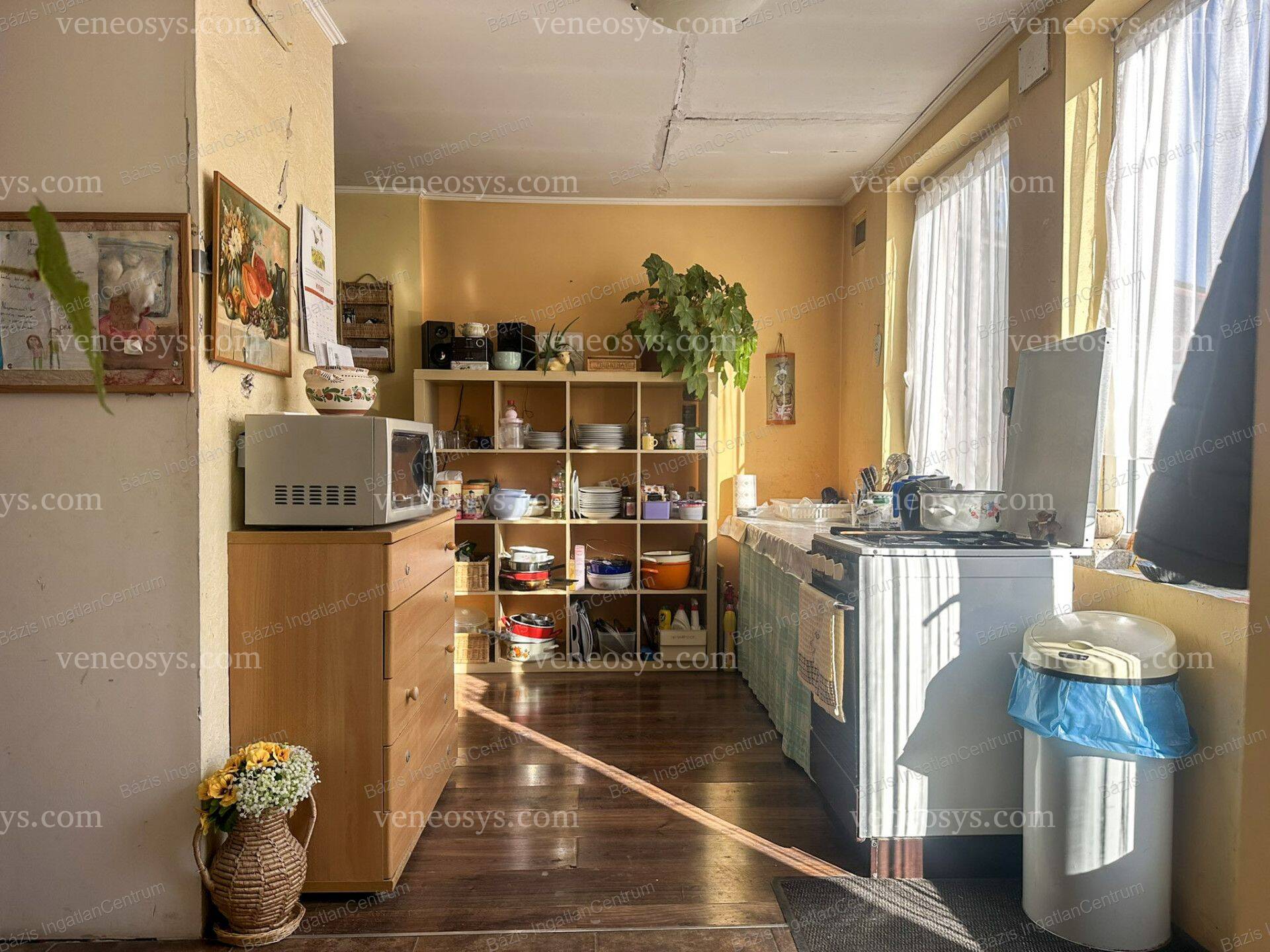 Kép 5