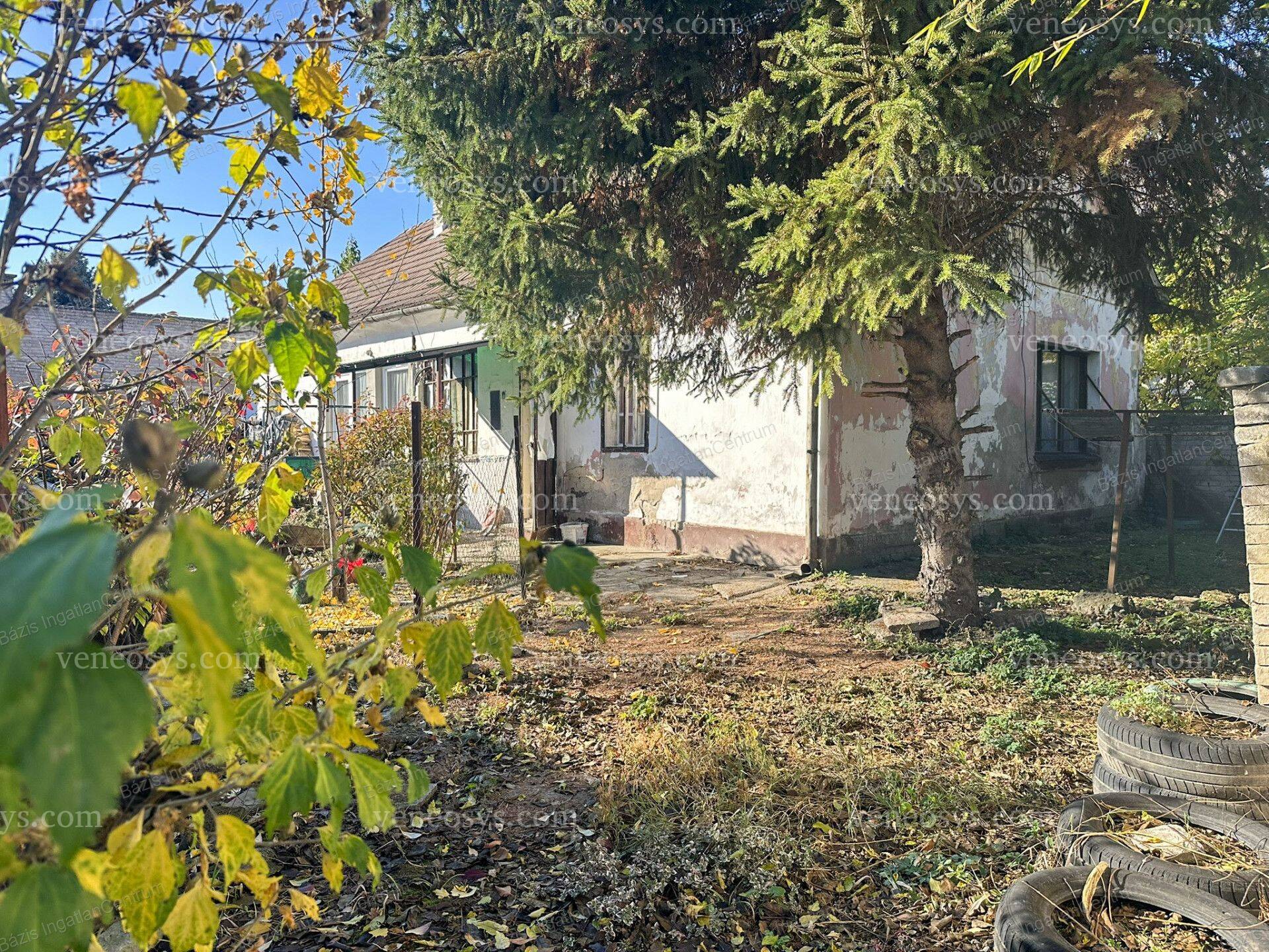 Kép 19
