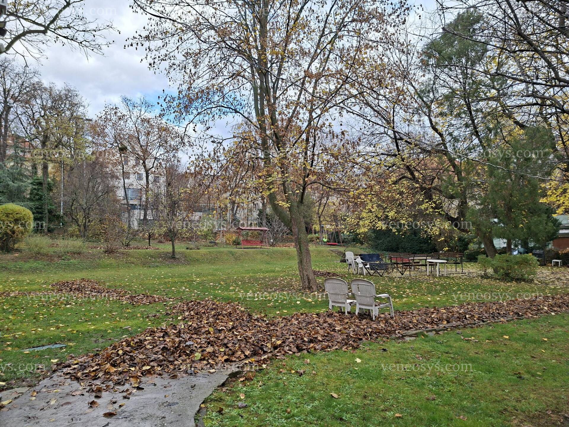 Kép 10