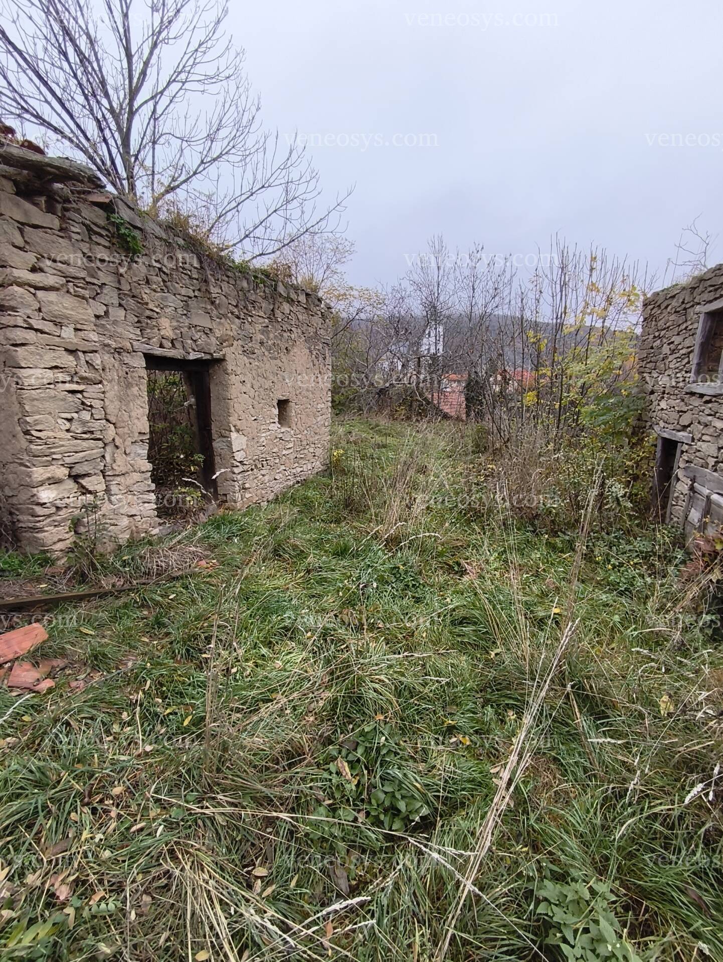 Kép 9