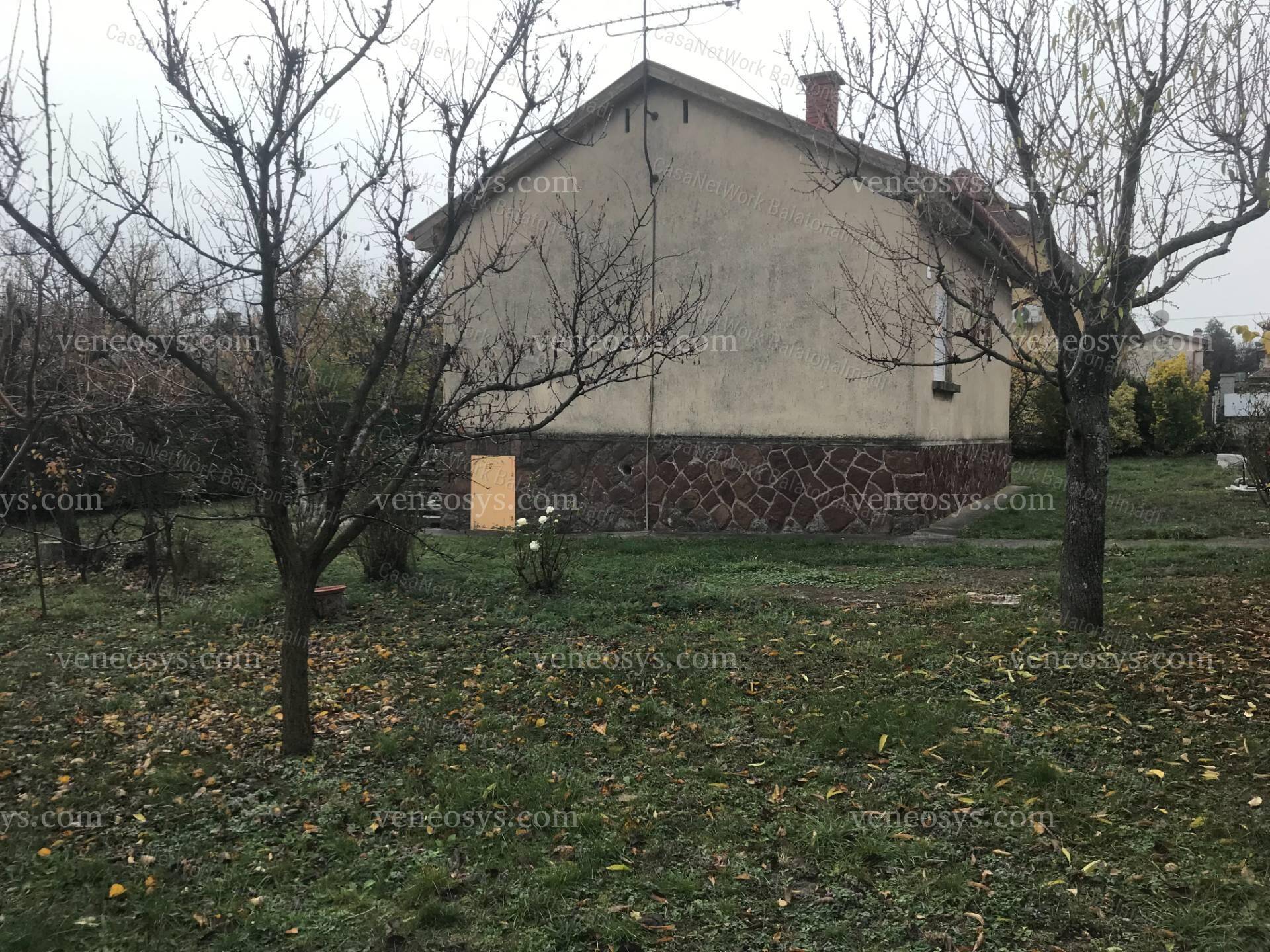 Kép 5