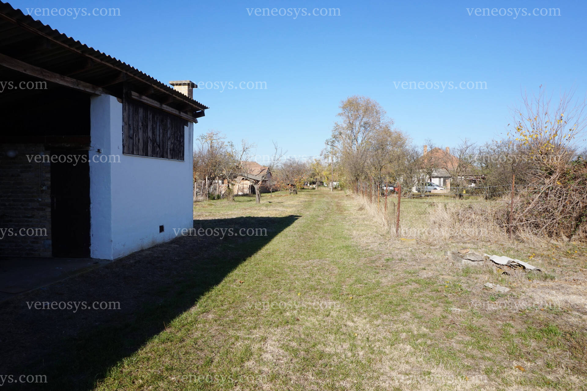 Kép 4