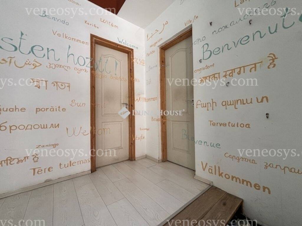 Kép 7