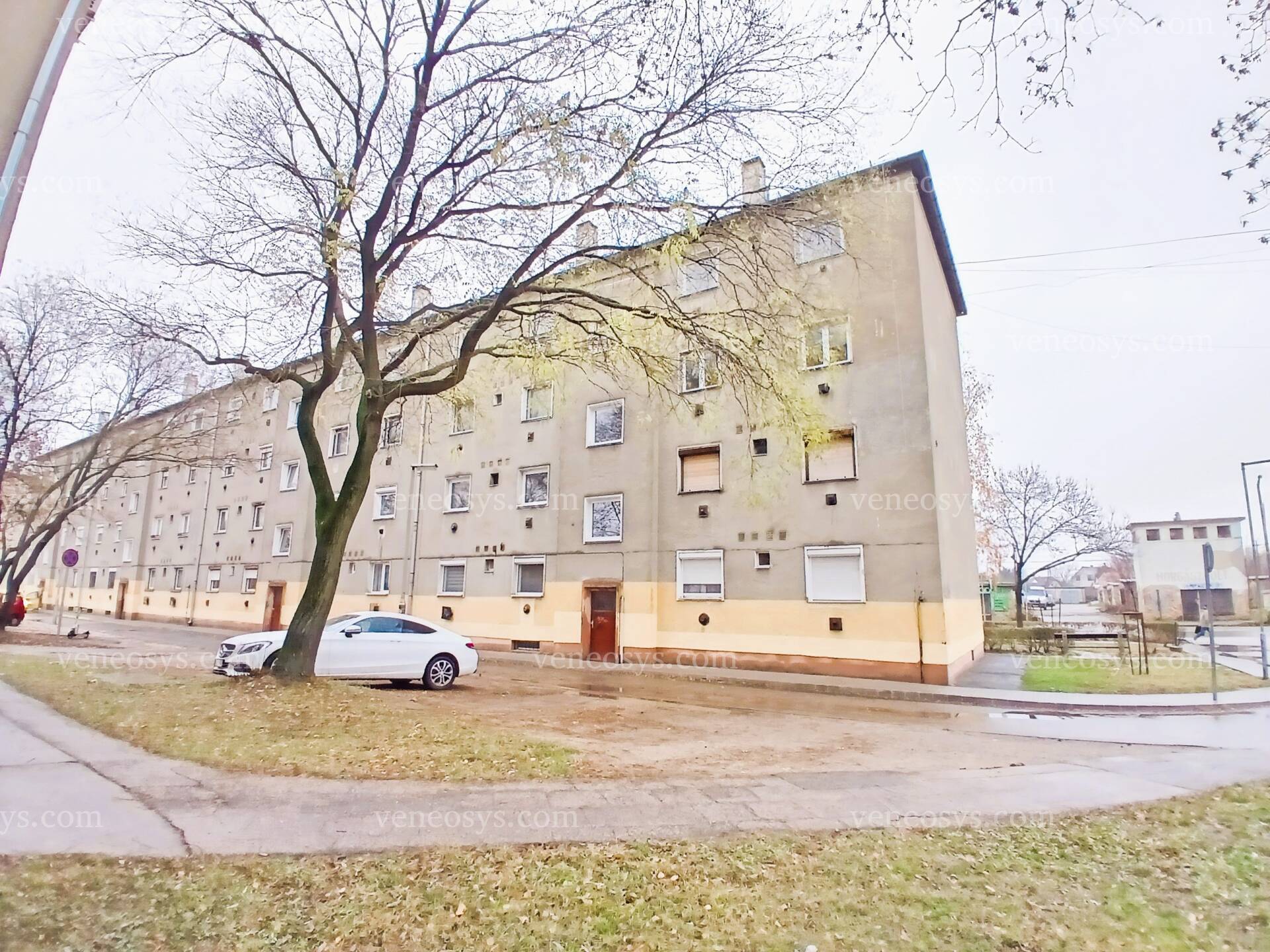 Kép 13