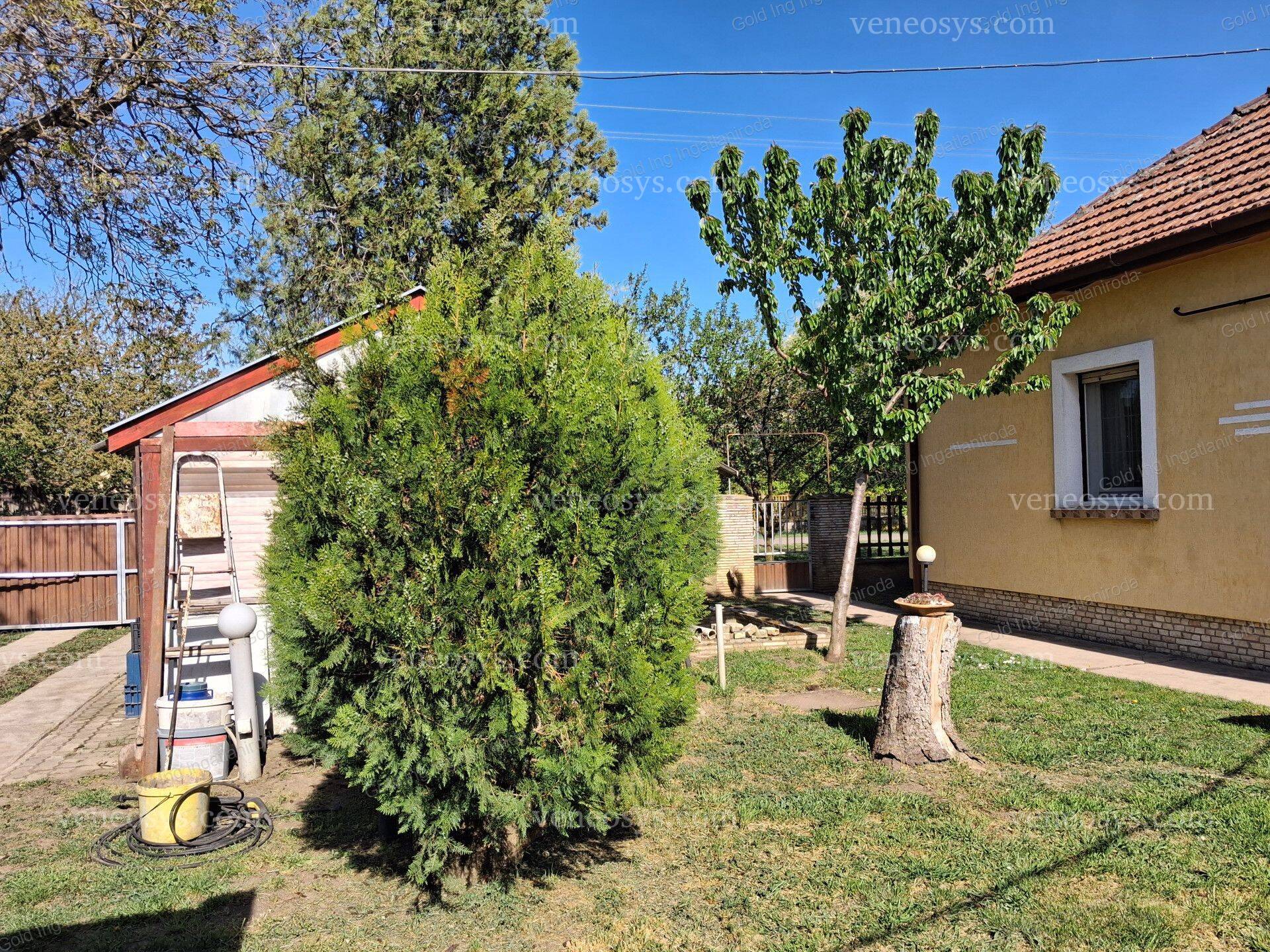 Kép 4