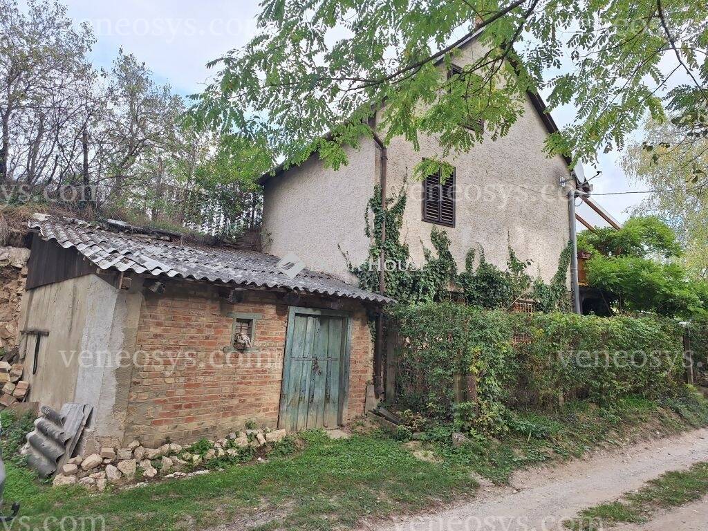 Kép 11