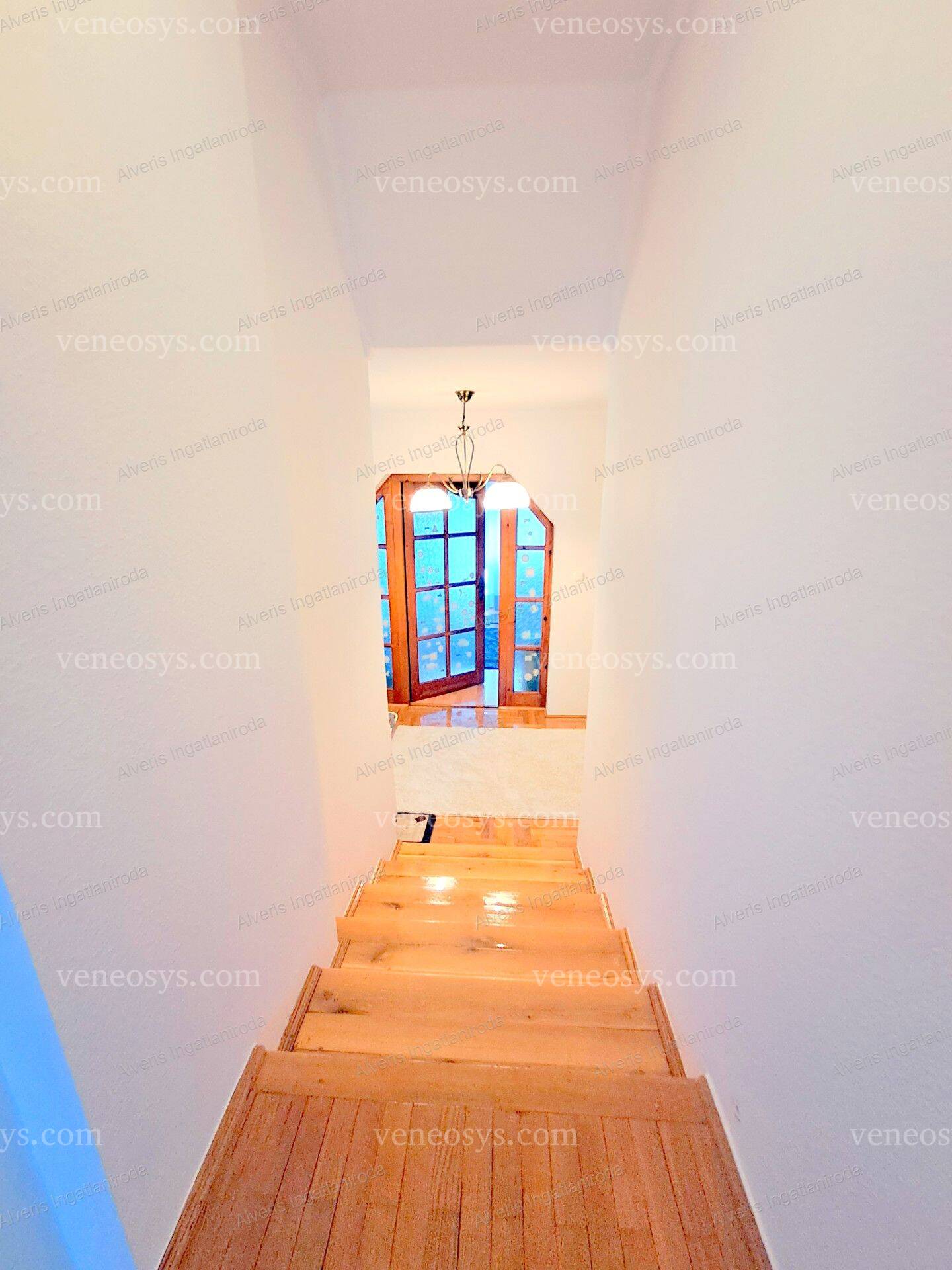 Kép 21