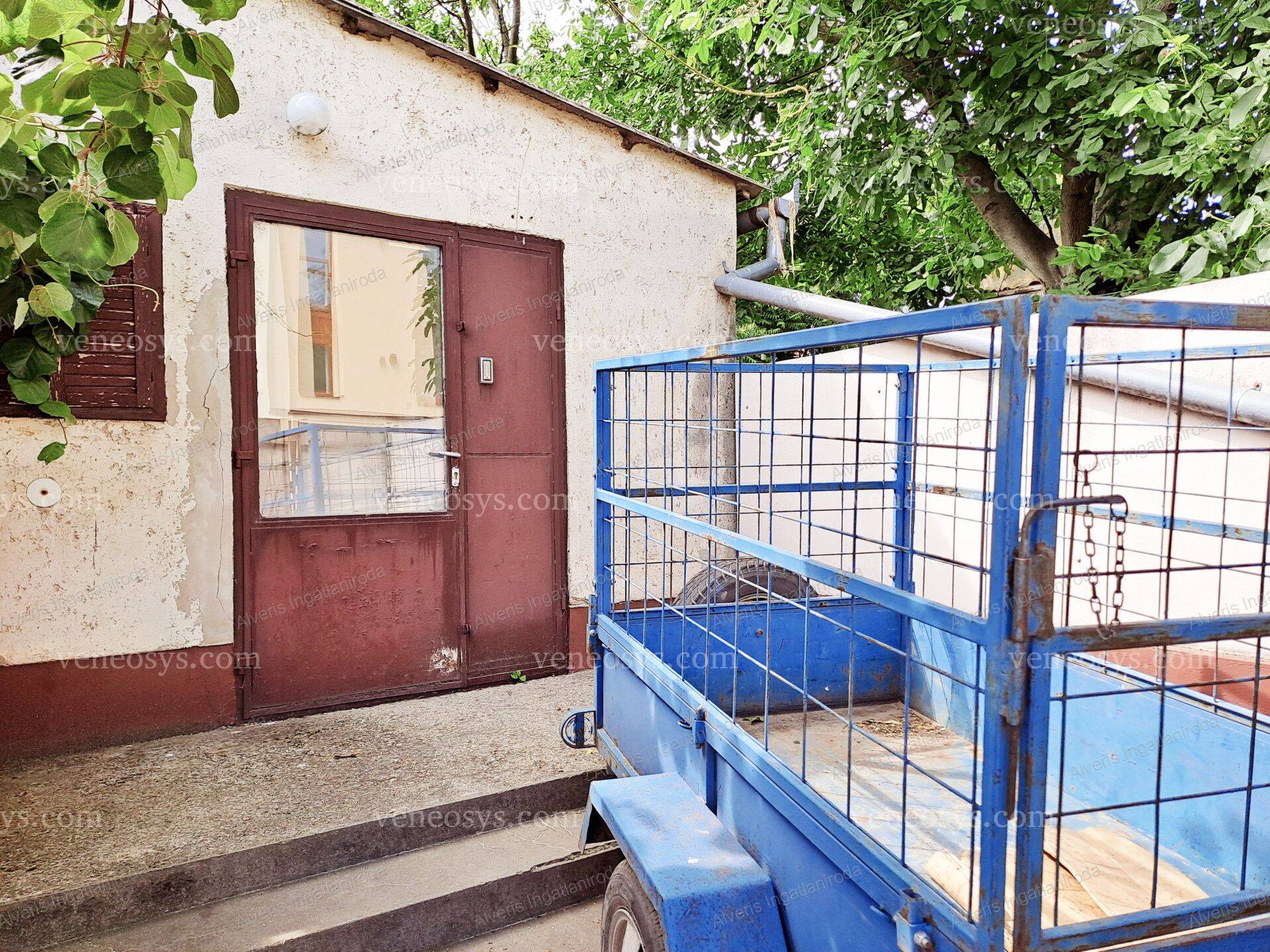 Kép 13