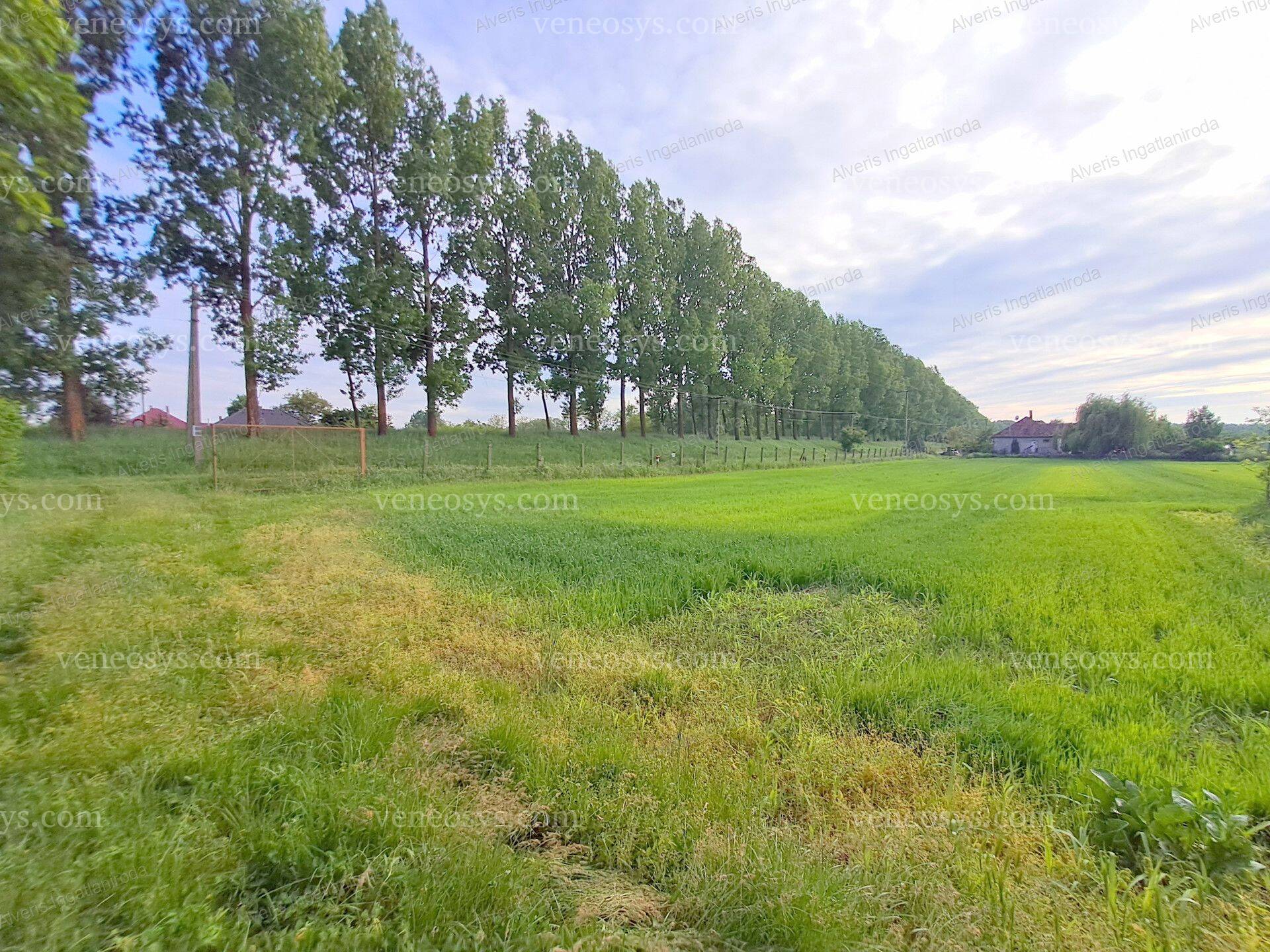 Kép 22