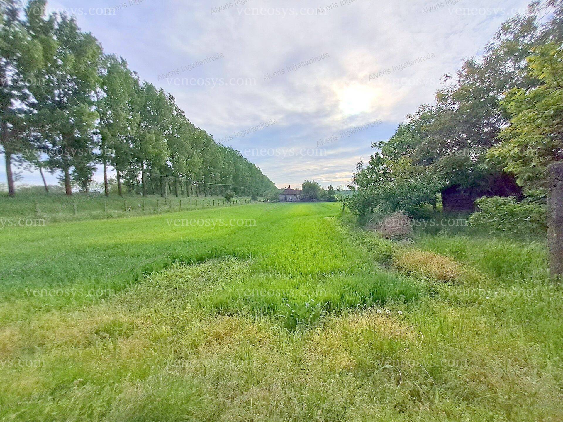 Kép 23