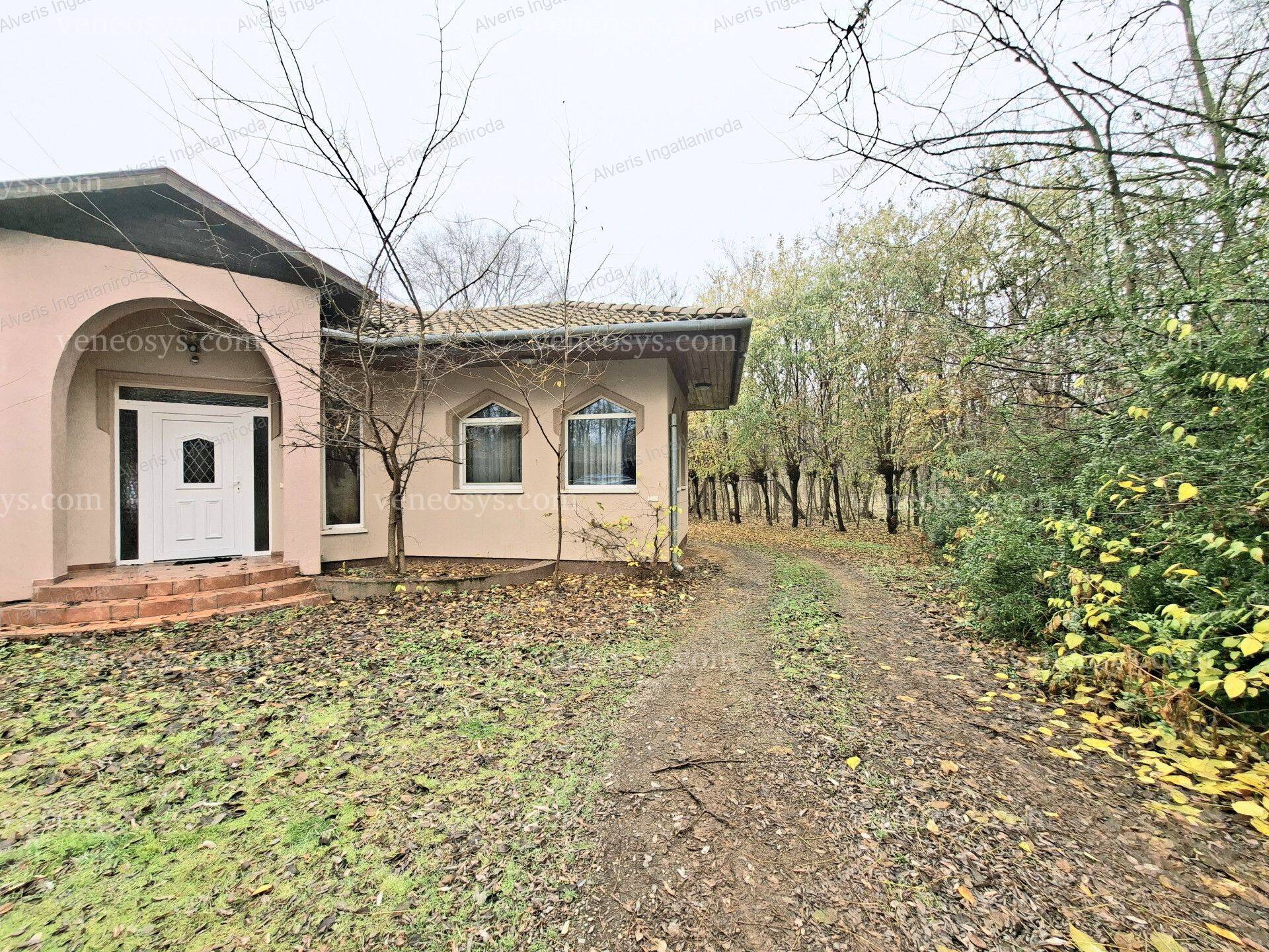 Kép 30