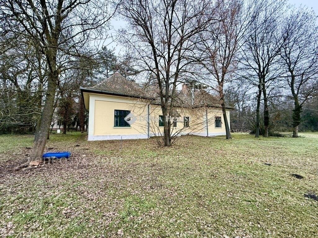 Kép 17