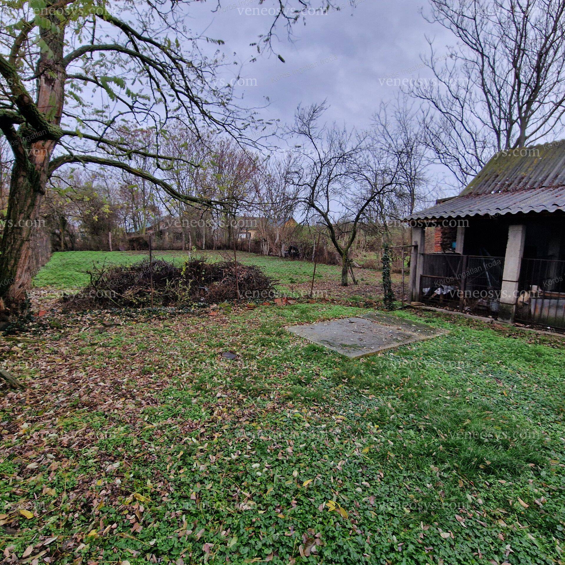 Kép 24