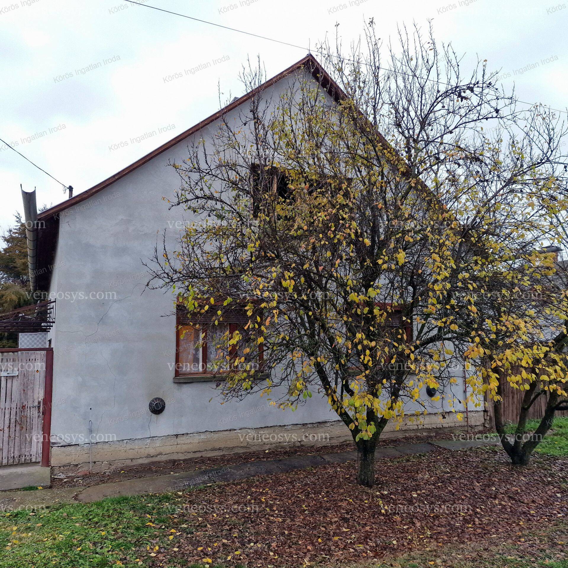 Kép 29