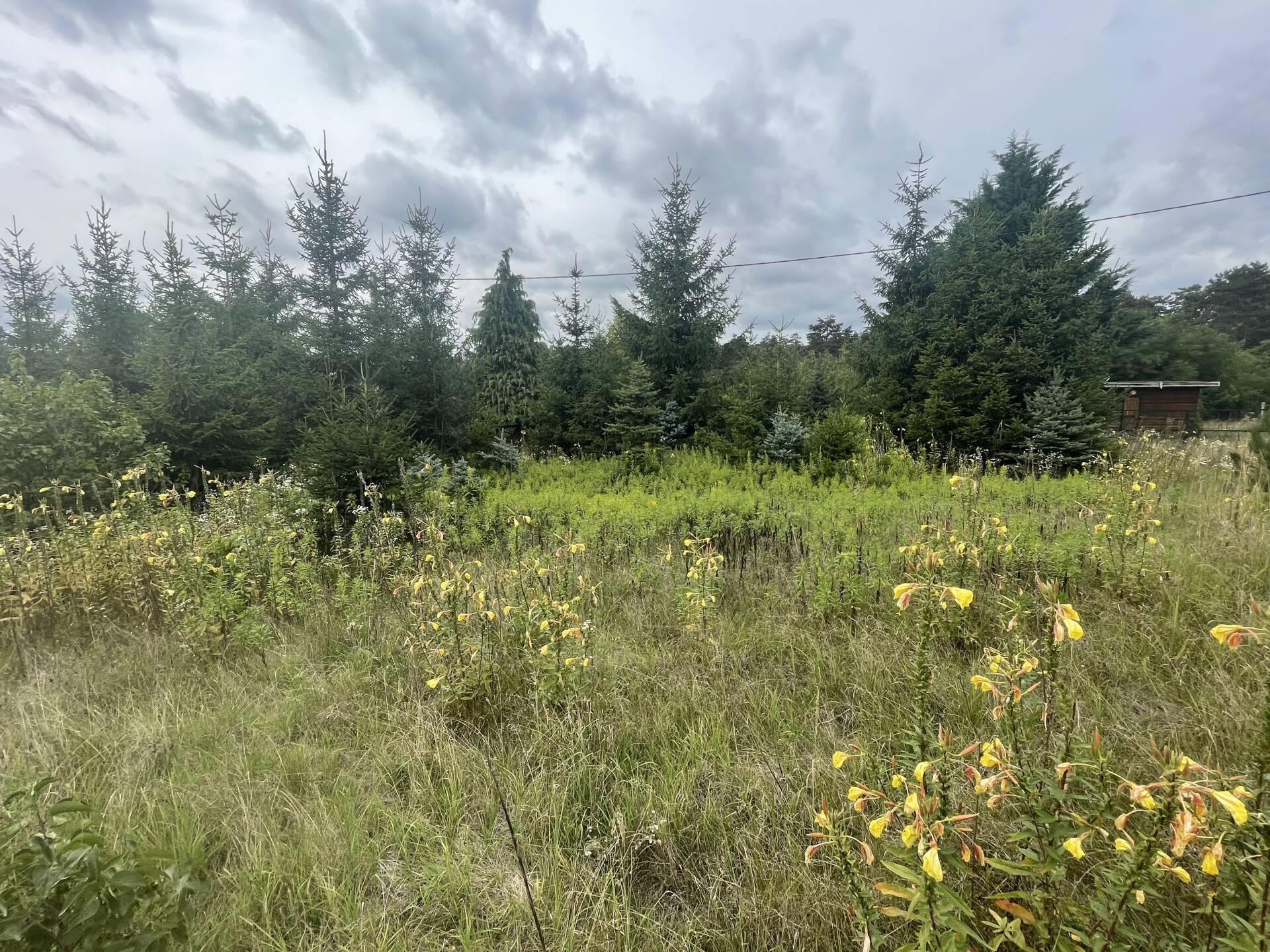 Szomódi zártkertek - színtiszta természet!