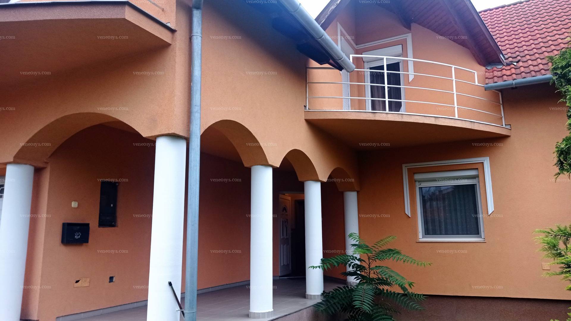 Kép 25