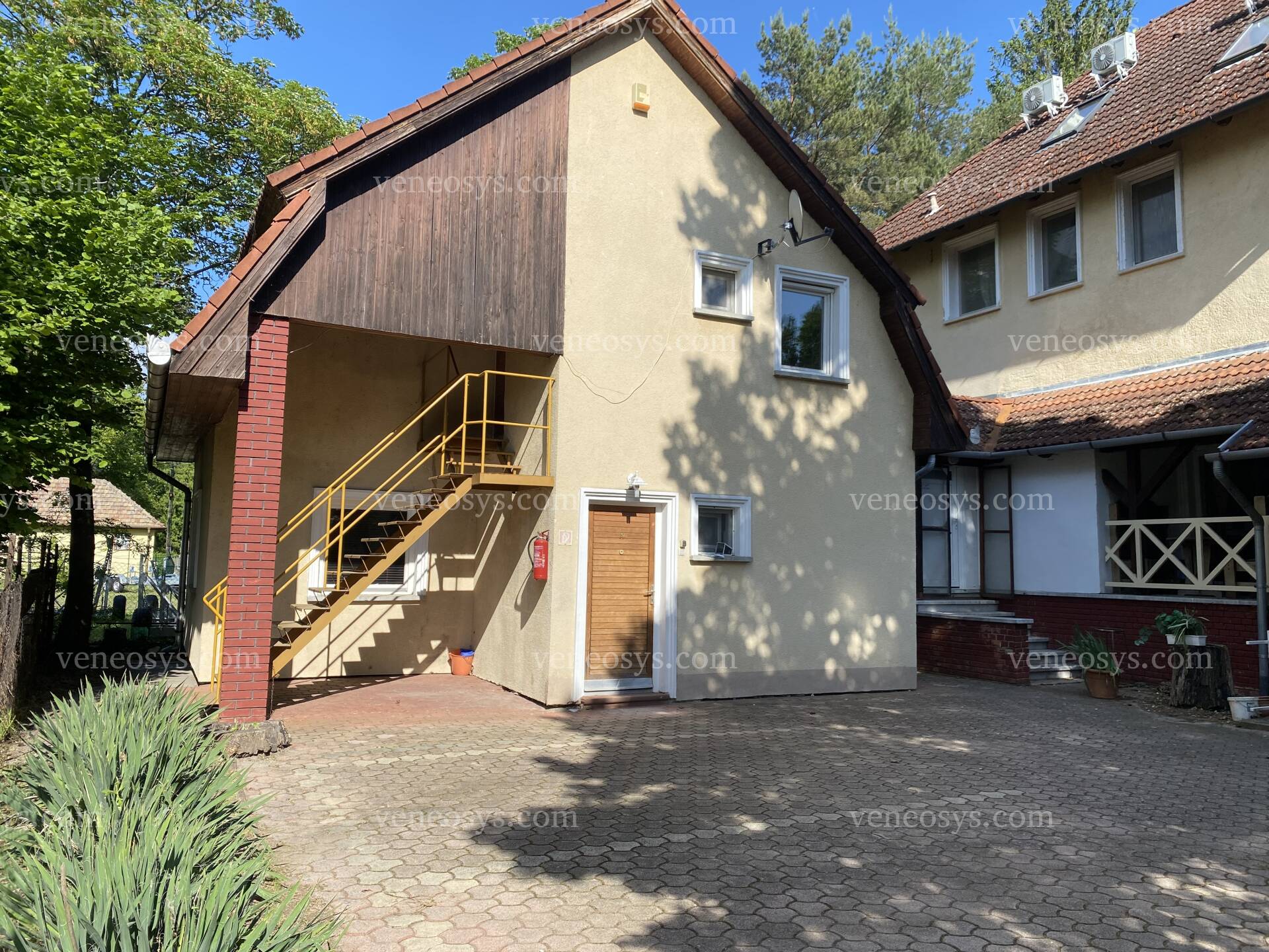Kép 10