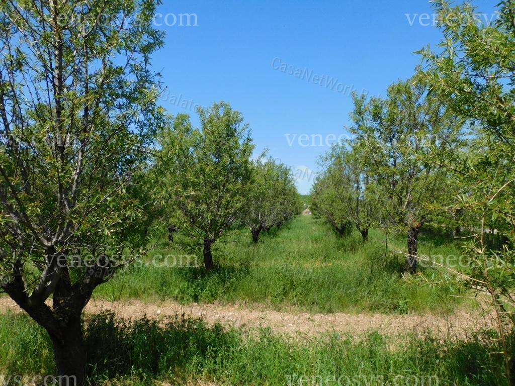 Kép 25