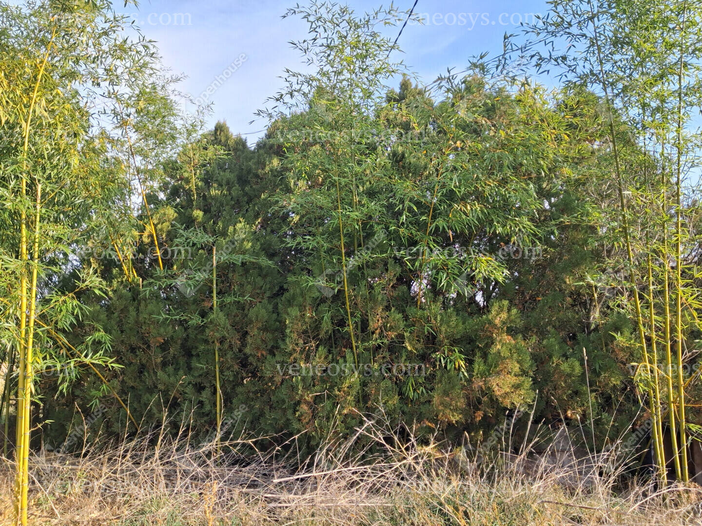 Kép 19