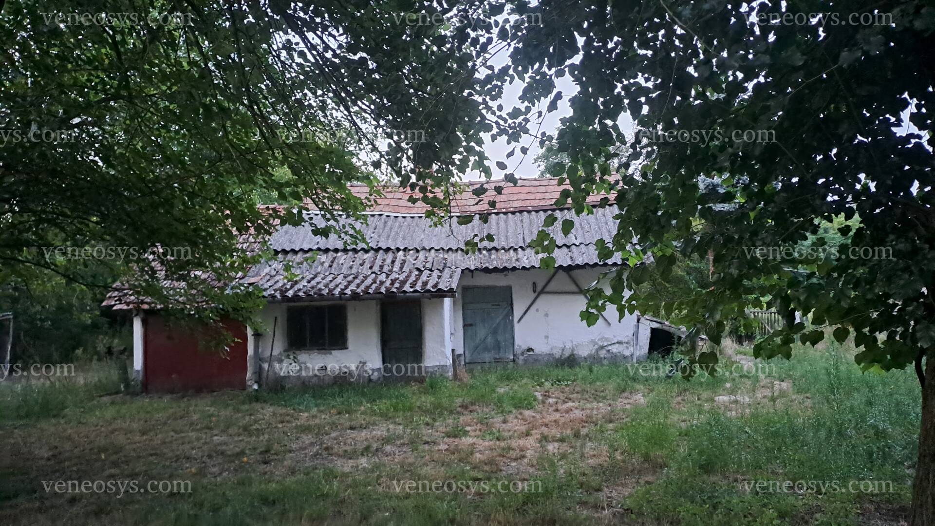 Kép 5