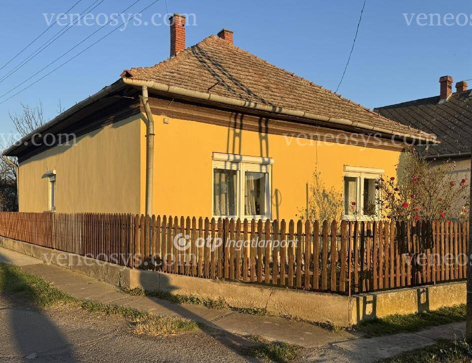 Kép 4