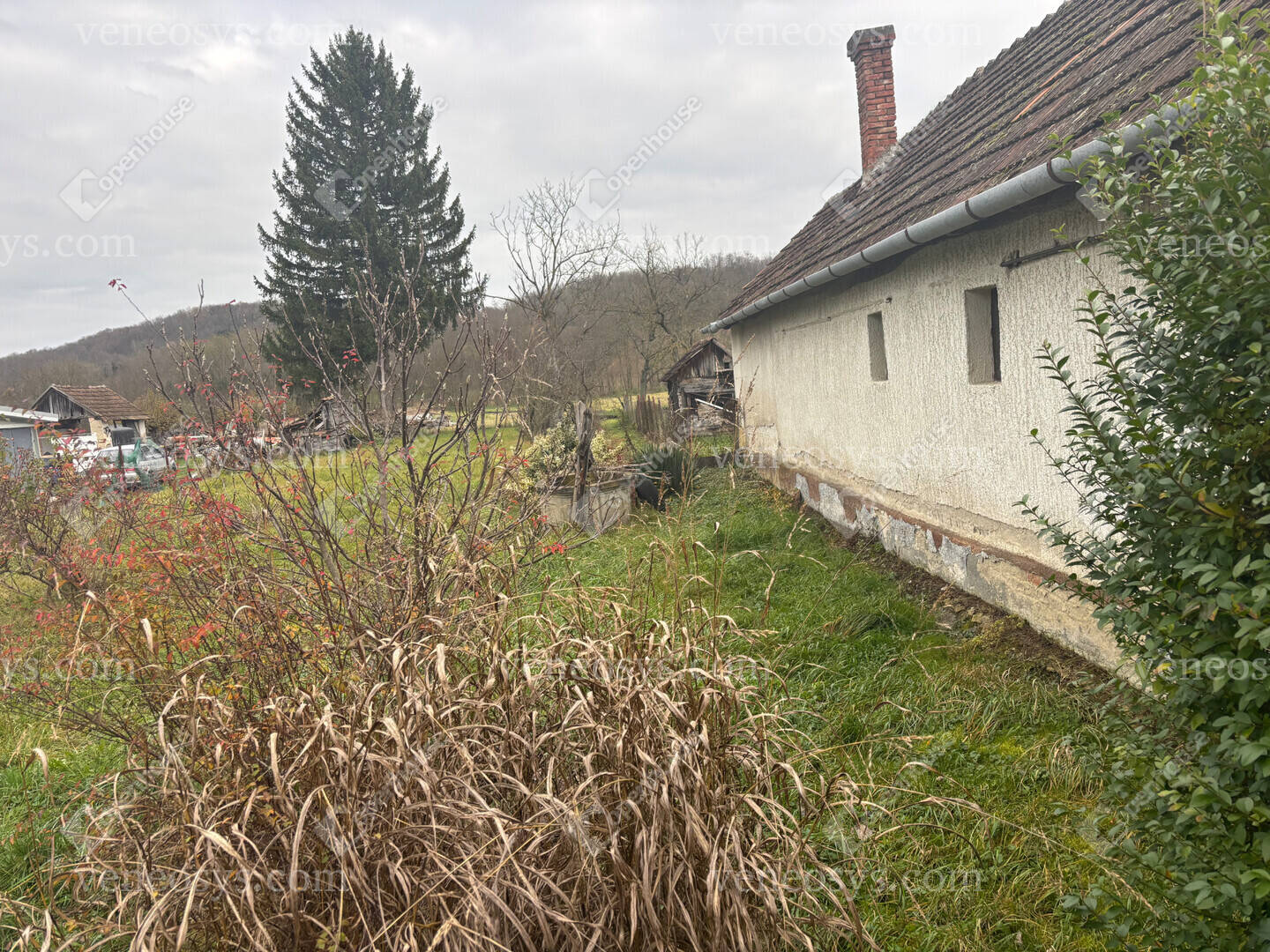 Kép 12
