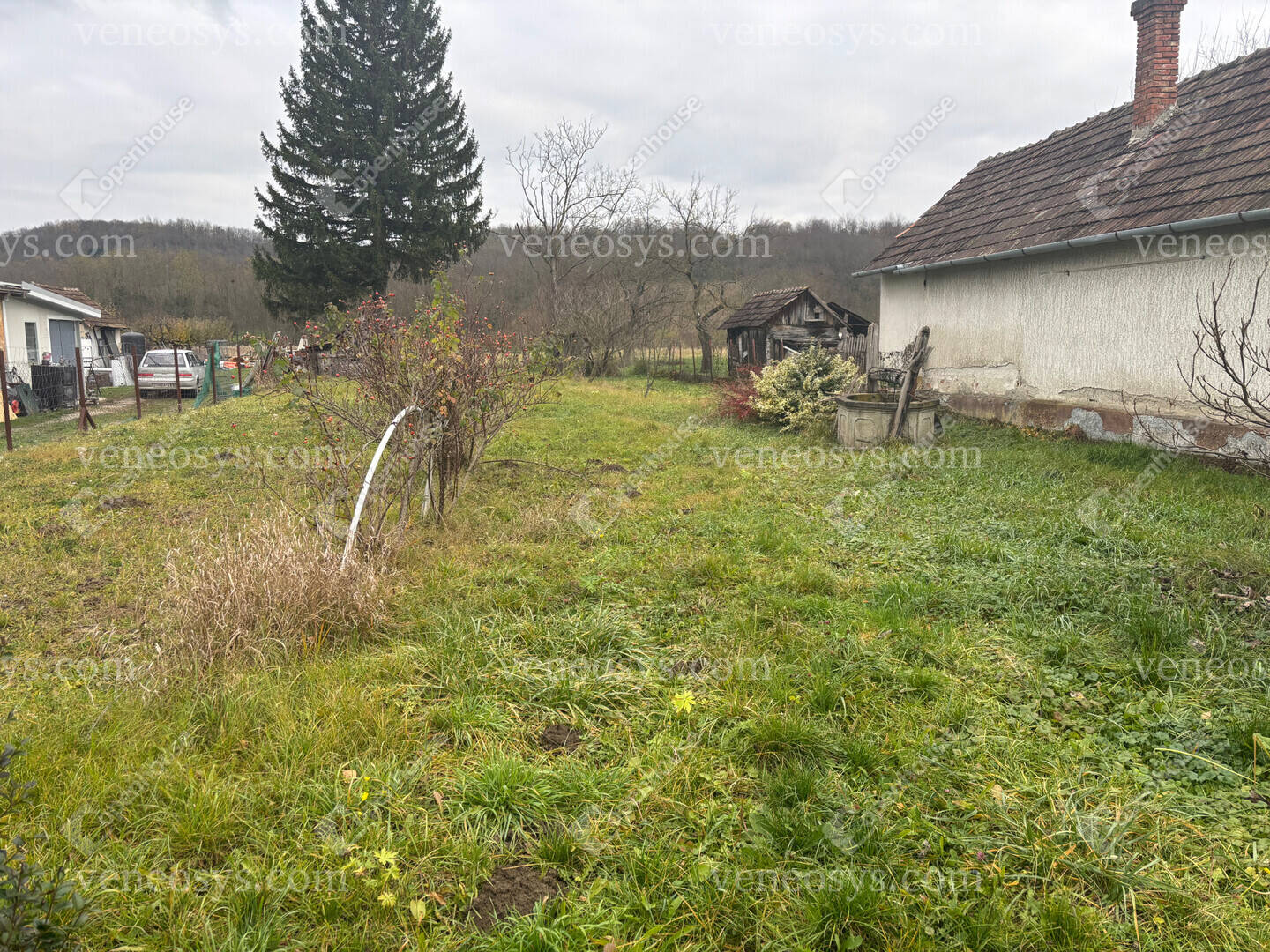 Kép 3