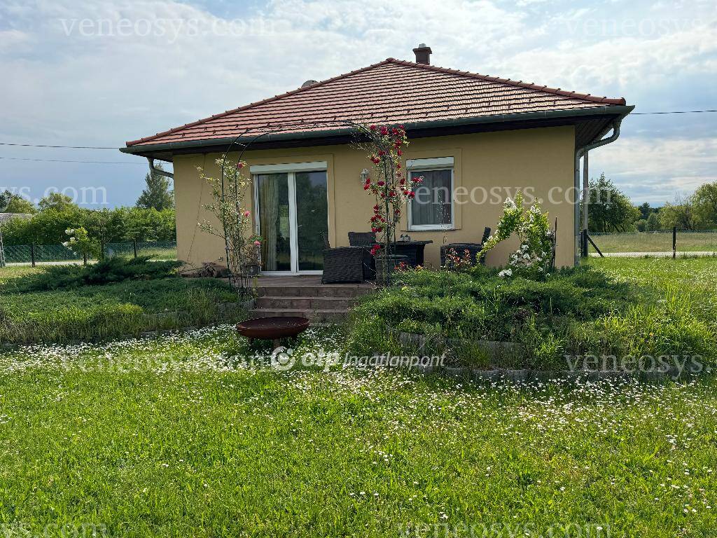 Kép 12