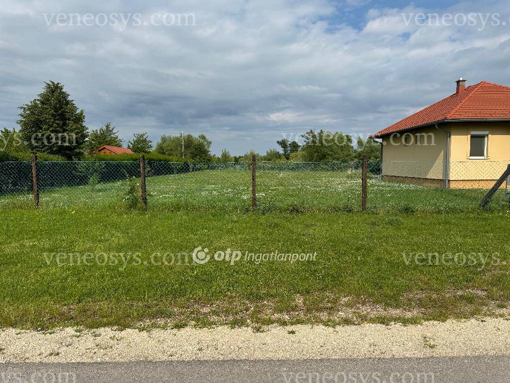 Kép 5