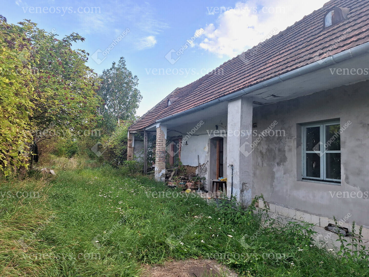 Kép 13