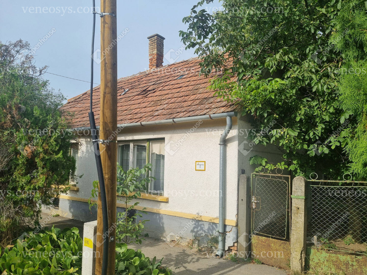 Kép 13