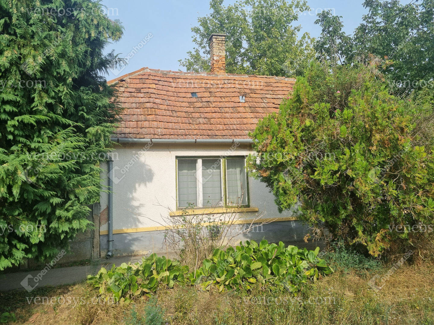Kép 5