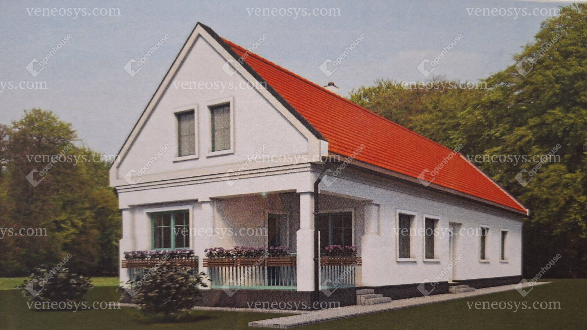 Kép 5