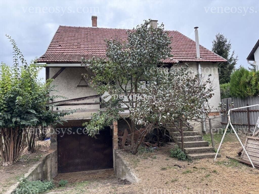 Kép 4