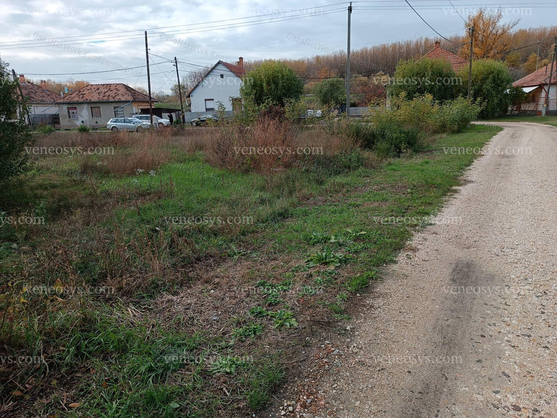 Kép 6