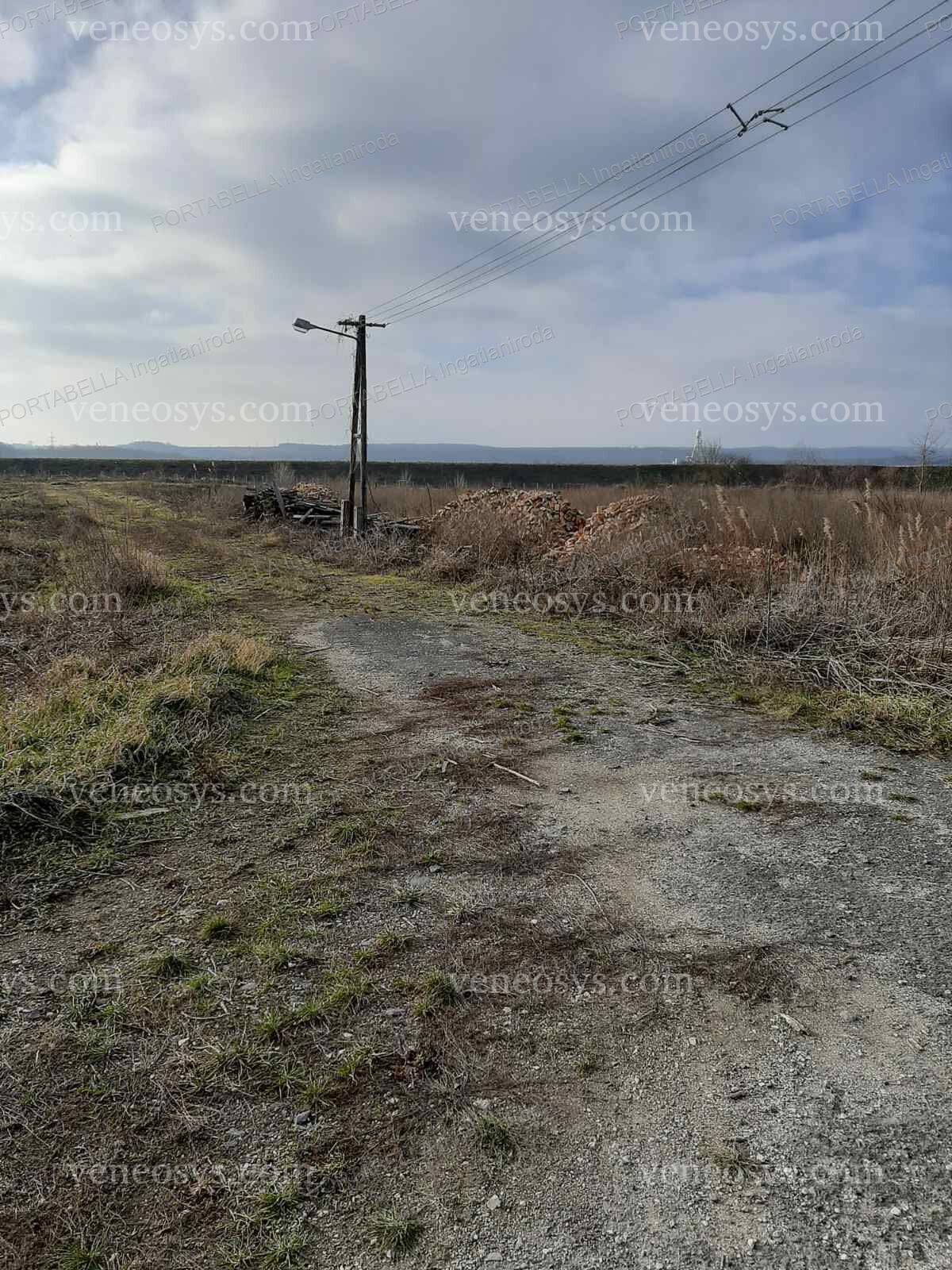 Kép 10