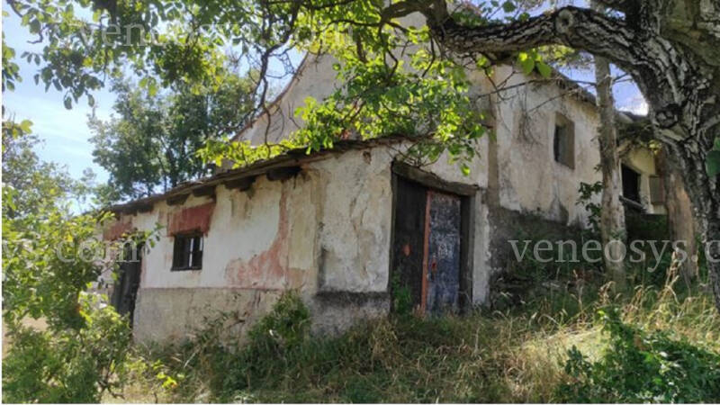Kép 19