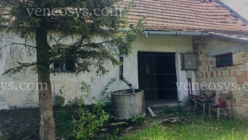 Kép 5