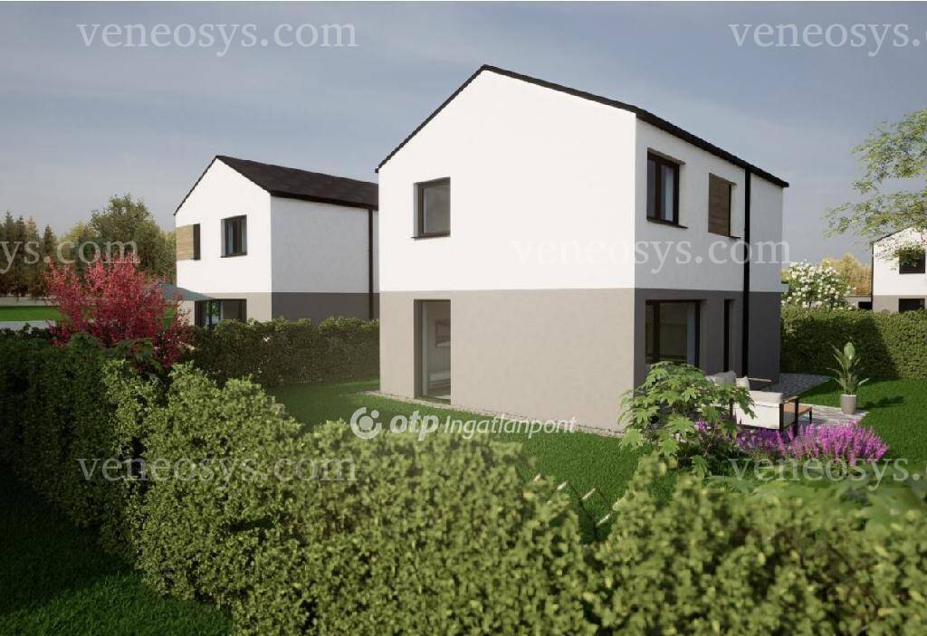 Kép 5