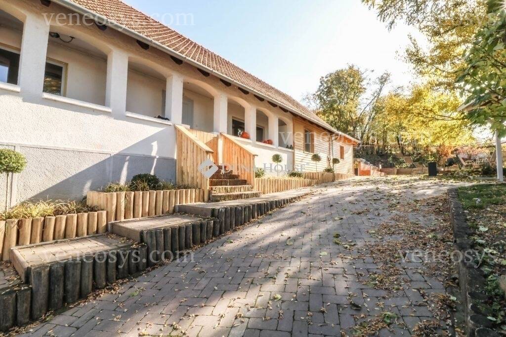Kép 15