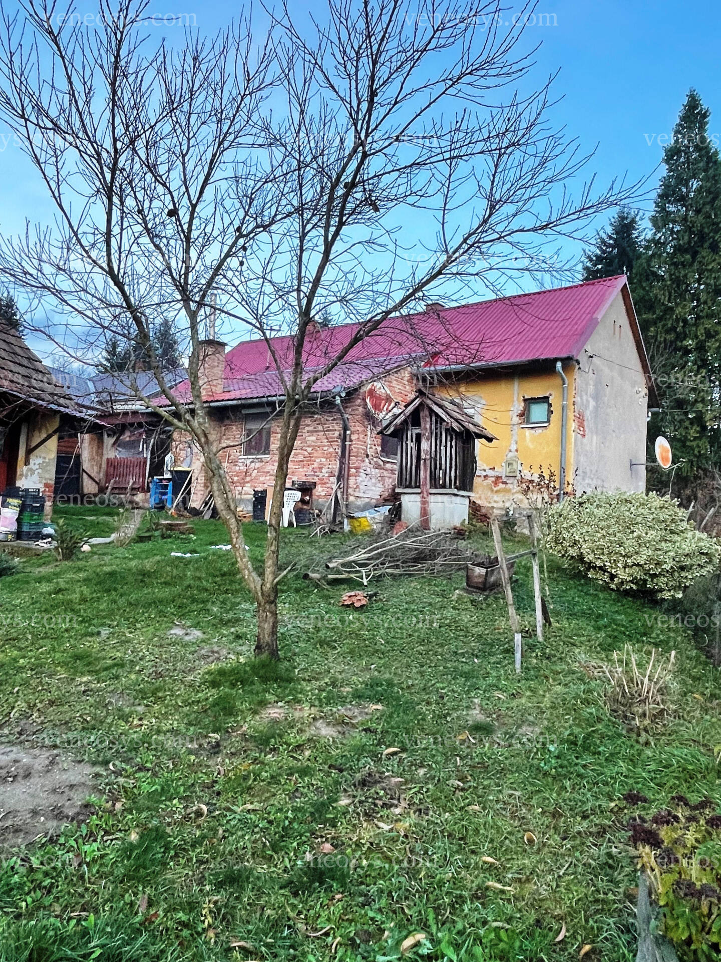 Kép 5