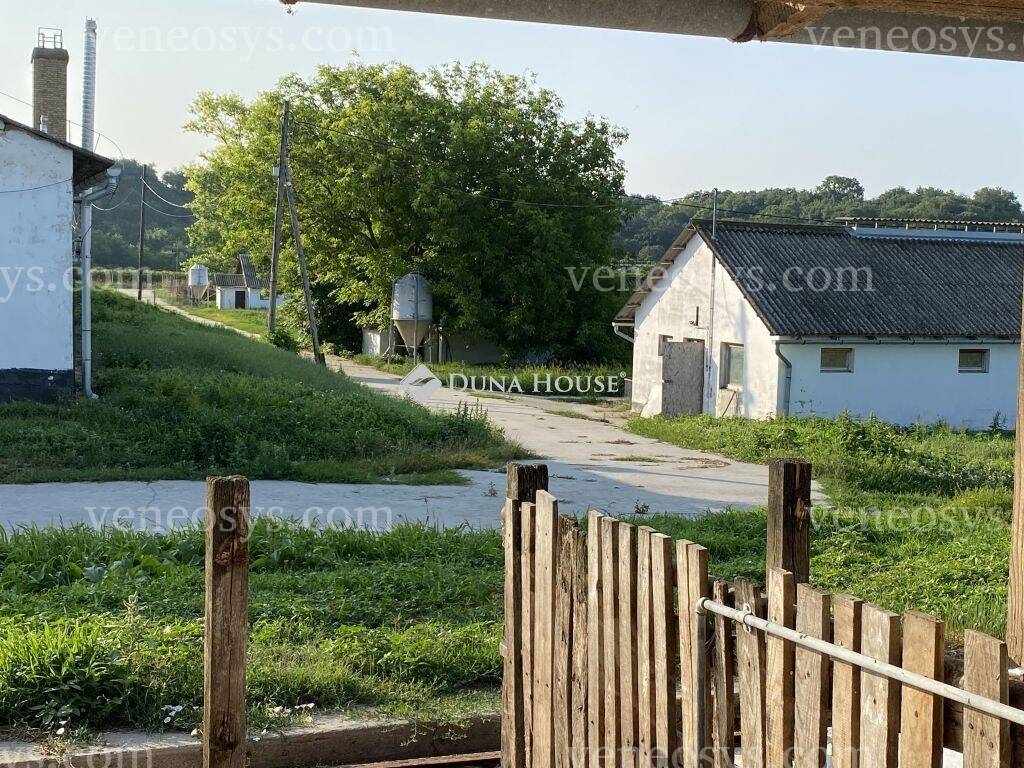 Kép 15