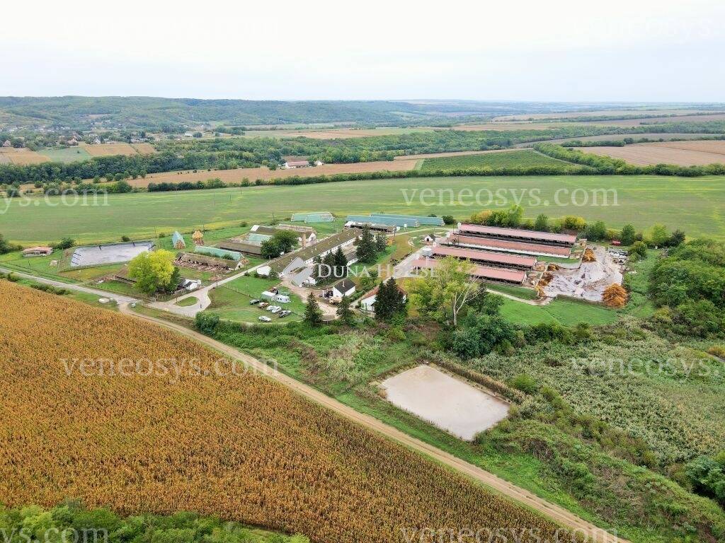 Kép 6