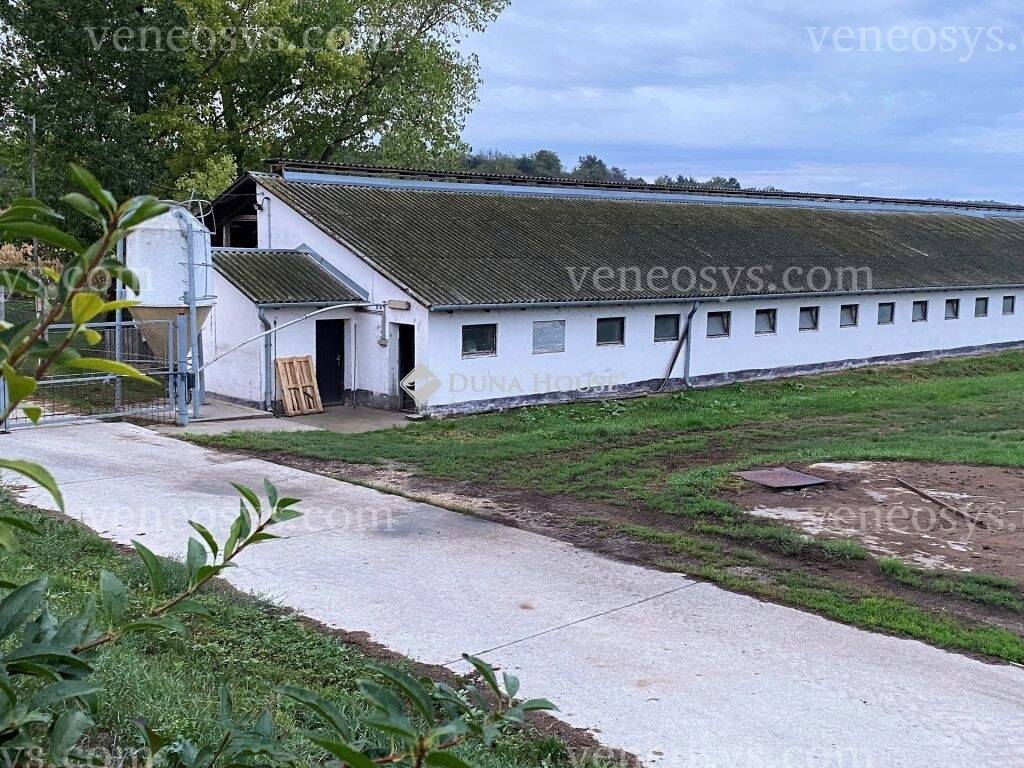 Kép 12
