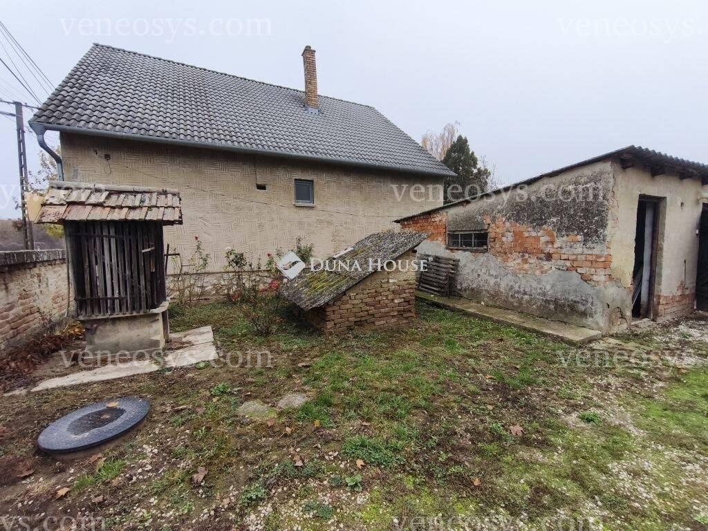 Kép 15